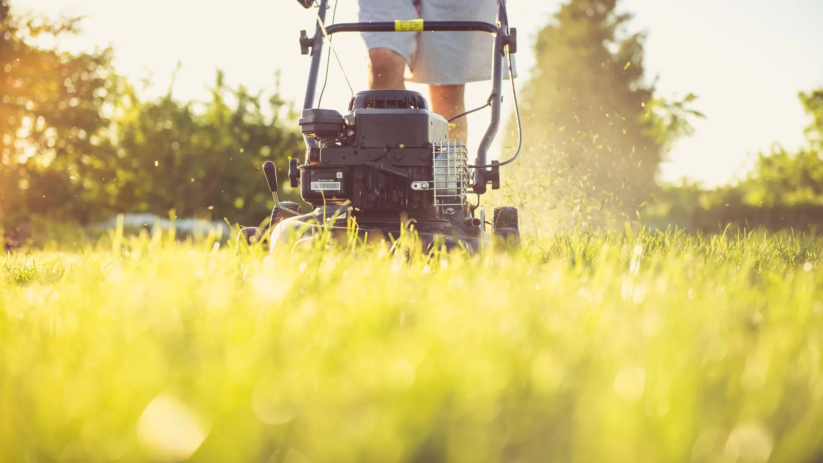 Walk-behind gas lawn mower cutting tall grass on a sunny residential lawn