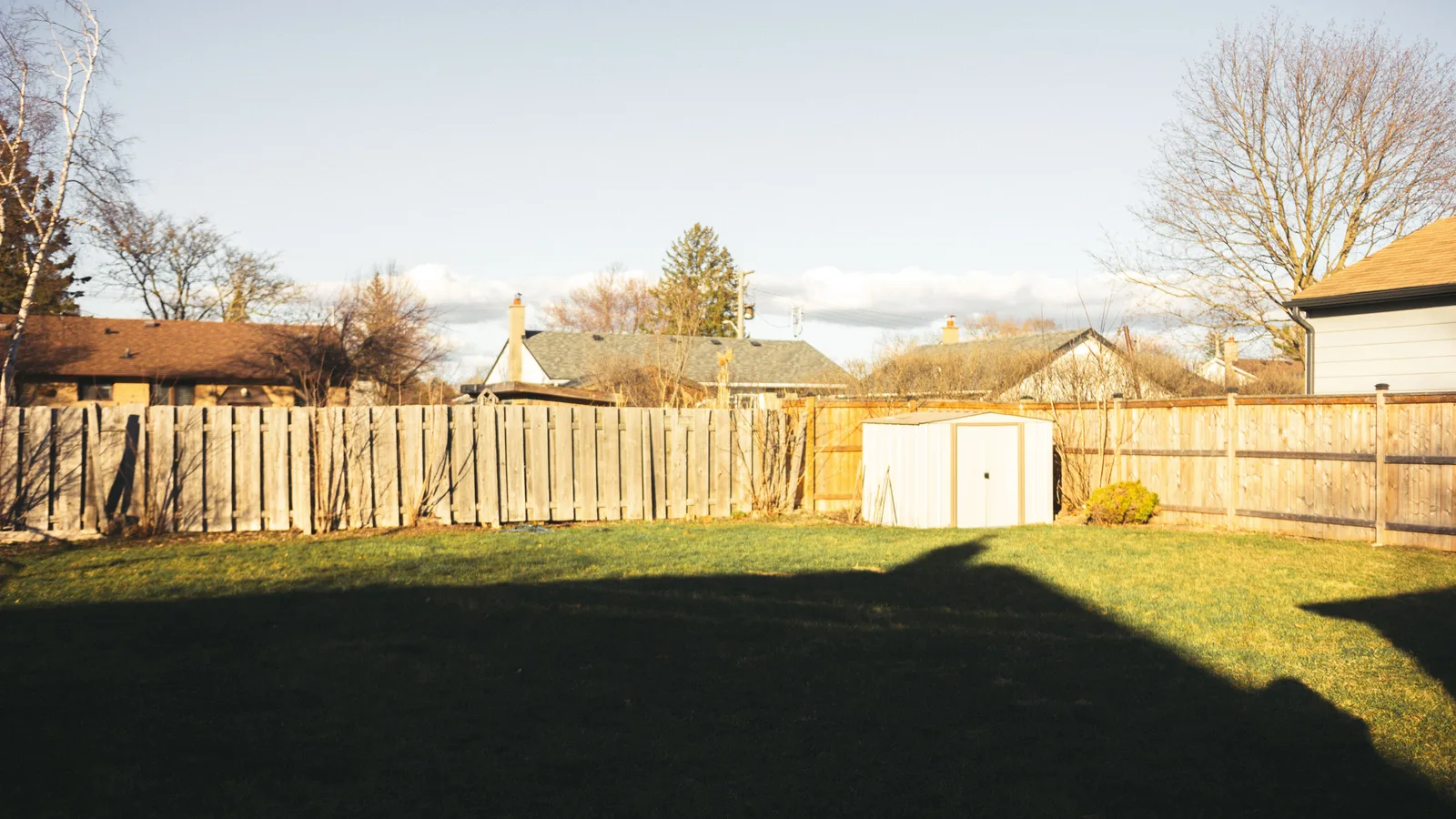 Residential backyard lawn bordered by a wooden fence with a small shed at the far edge