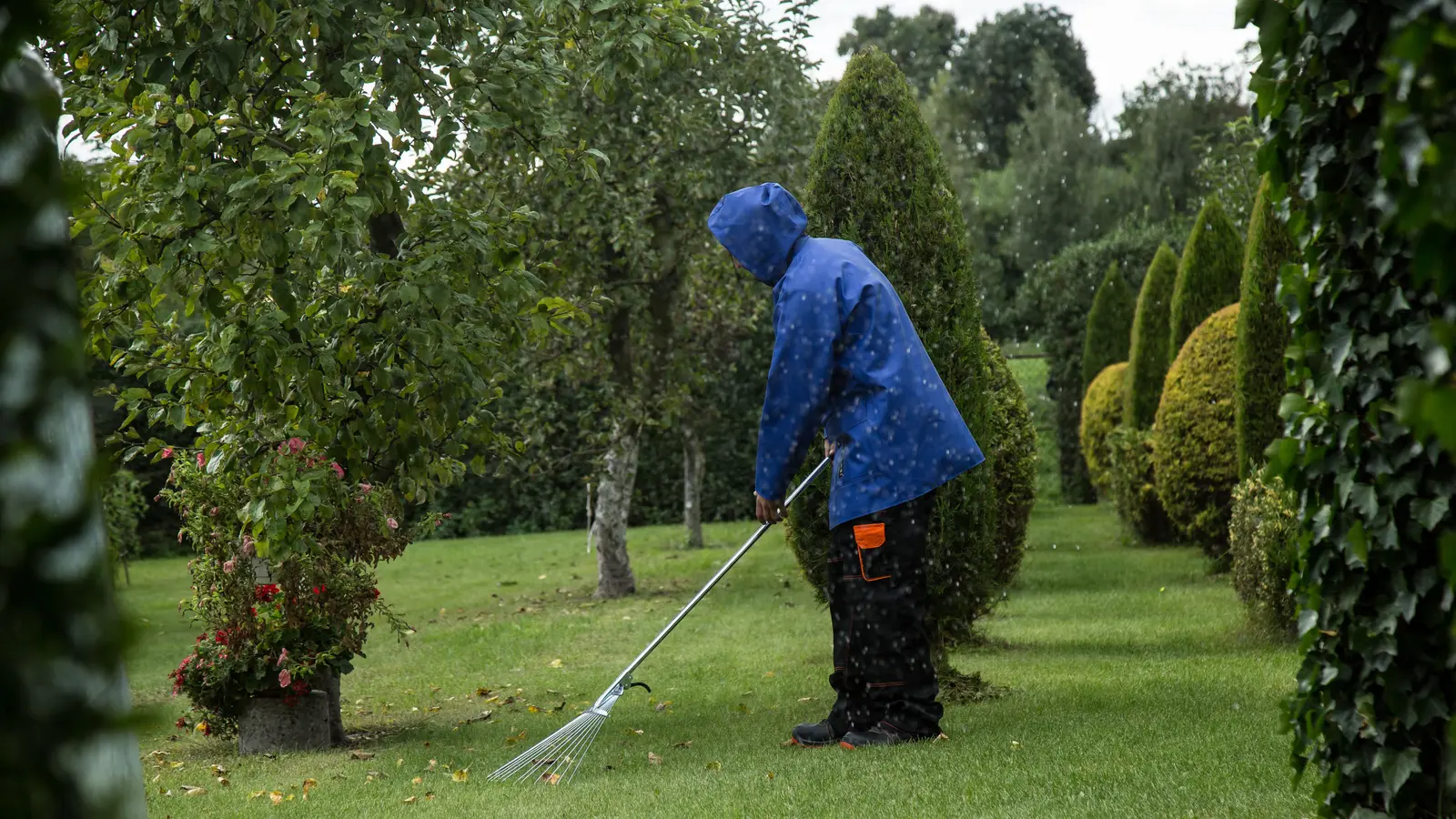 Person raking scattered autumn leaves on a green lawn